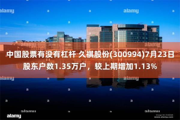 中国股票有没有杠杆 久祺股份(300994)7月23日股东户数1.35万户，较上期增加1.13%