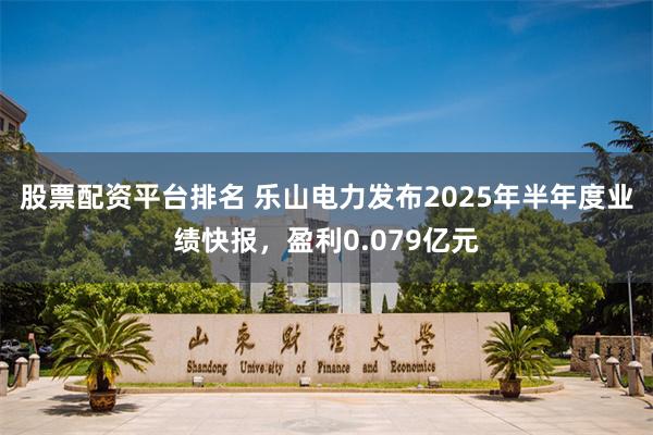 股票配资平台排名 乐山电力发布2025年半年度业绩快报，盈利0.079亿元
