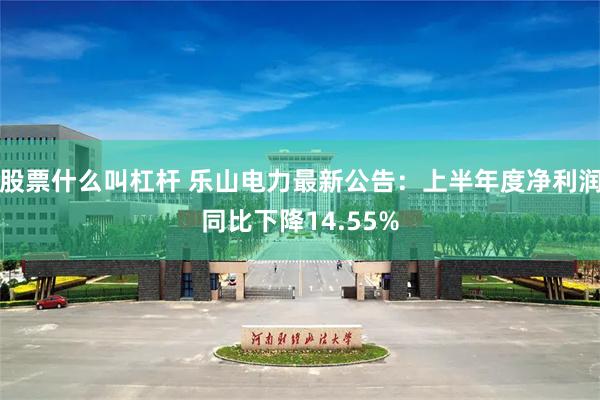 股票什么叫杠杆 乐山电力最新公告：上半年度净利润同比下降14.55%