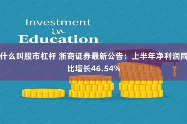 什么叫股市杠杆 浙商证券最新公告：上半年净利润同比增长46.54%