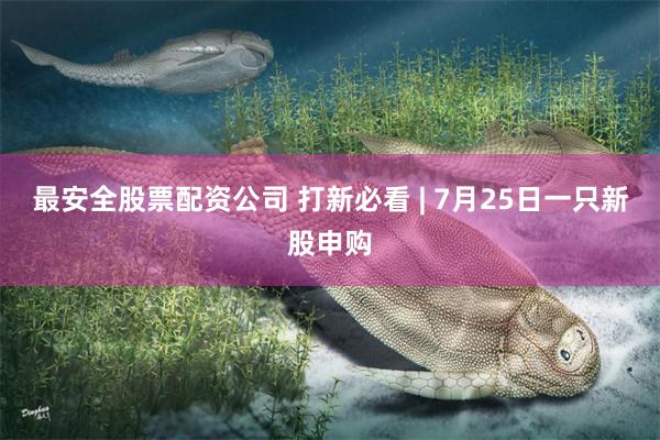最安全股票配资公司 打新必看 | 7月25日一只新股申购