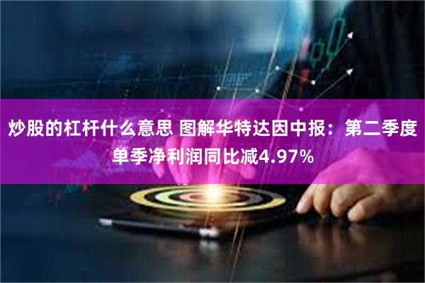 炒股的杠杆什么意思 图解华特达因中报：第二季度单季净利润同比减4.97%