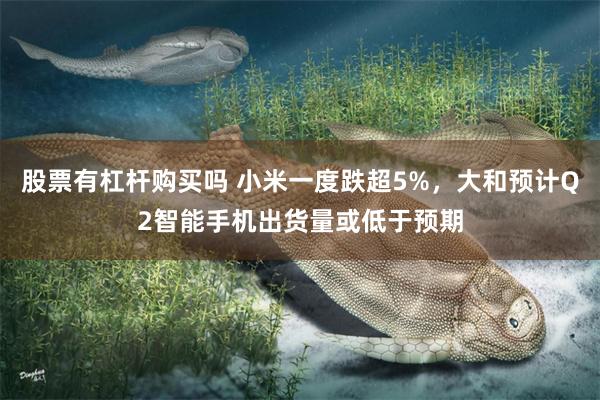 股票有杠杆购买吗 小米一度跌超5%，大和预计Q2智能手机出货量或低于预期