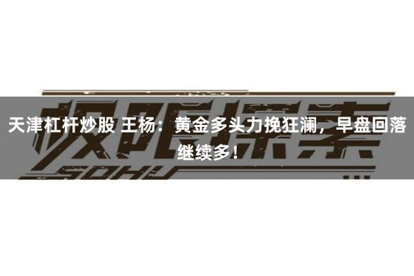 天津杠杆炒股 王杨：黄金多头力挽狂澜，早盘回落继续多！