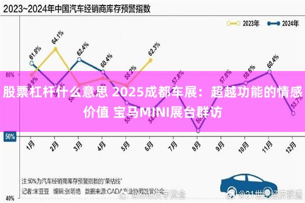 股票杠杆什么意思 2025成都车展：超越功能的情感价值 宝马MINI展台群访