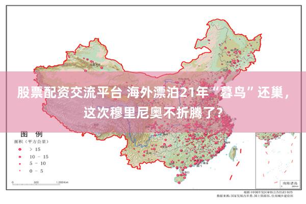 股票配资交流平台 海外漂泊21年“暮鸟”还巢，这次穆里尼奥不折腾了？