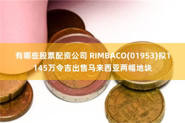 有哪些股票配资公司 RIMBACO(01953)拟1145万令吉出售马来西亚两幅地块