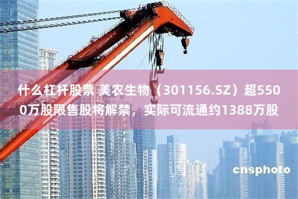 什么杠杆股票 美农生物(301156.SZ)超5500万股限售股将解禁,实际可流通约1388万股