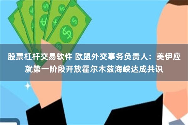 股票杠杆交易软件 欧盟外交事务负责人：美伊应就第一阶段开放霍尔木兹海峡达成共识