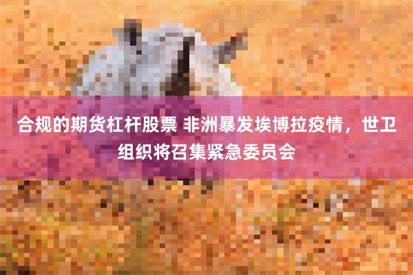 合规的期货杠杆股票 非洲暴发埃博拉疫情，世卫组织将召集紧急委员会