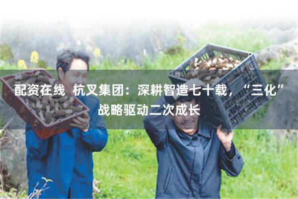 配资在线  杭叉集团：深耕智造七十载，“三化”战略驱动二次成长