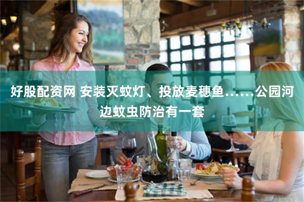 好股配资网 安装灭蚊灯、投放麦穗鱼……公园河边蚊虫防治有一套