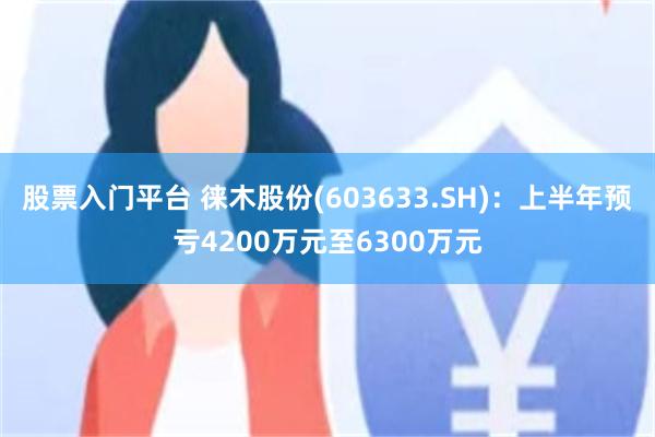 股票入门平台 徕木股份(603633.SH)：上半年预亏4200万元至6300万元
