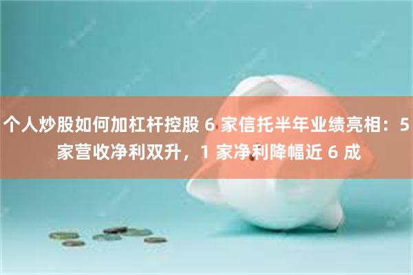 个人炒股如何加杠杆控股 6 家信托半年业绩亮相：5 家营收净利双升，1 家净利降幅近 6 成