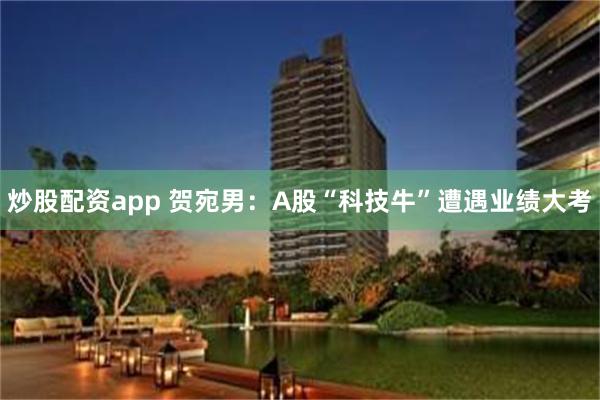 炒股配资app 贺宛男：A股“科技牛”遭遇业绩大考