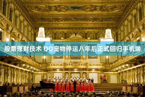 股票理财技术 QQ宠物停运八年后正式回归手机端