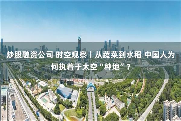 炒股融资公司 时空观察丨从蔬菜到水稻 中国人为何执着于太空“种地”?