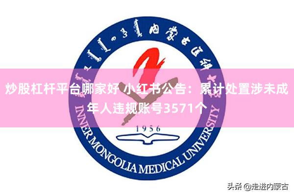 炒股杠杆平台哪家好 小红书公告：累计处置涉未成年人违规账号3571个
