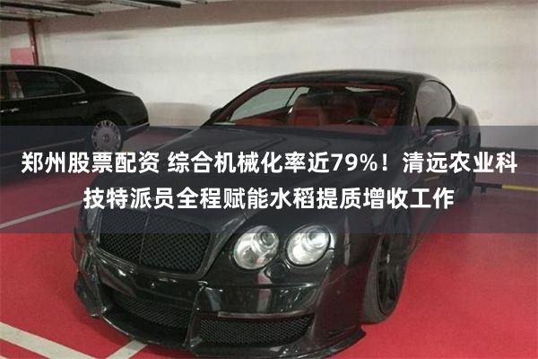 郑州股票配资 综合机械化率近79%！清远农业科技特派员全程赋能水稻提质增收工作