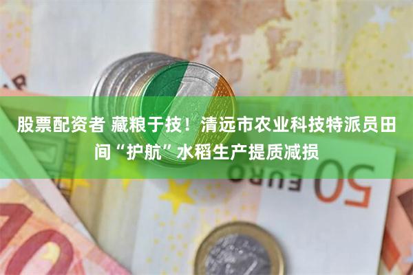 股票配资者 藏粮于技！清远市农业科技特派员田间“护航”水稻生产提质减损