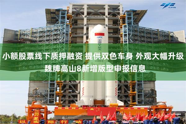 小额股票线下质押融资 提供双色车身 外观大幅升级  魏牌高山8新增版型申报信息