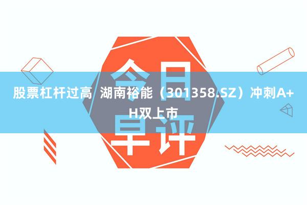 股票杠杆过高 湖南裕能(301358.SZ)冲刺A+H双上市