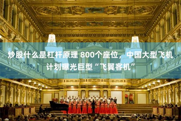 炒股什么是杠杆原理 800个座位，中国大型飞机计划曝光巨型“飞翼客机”