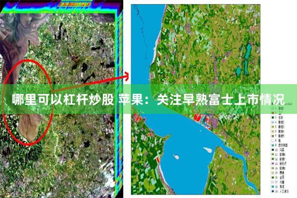 哪里可以杠杆炒股 苹果：关注早熟富士上市情况
