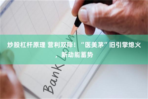 炒股杠杆原理 营利双降！“医美茅”旧引擎熄火，新动能蓄势