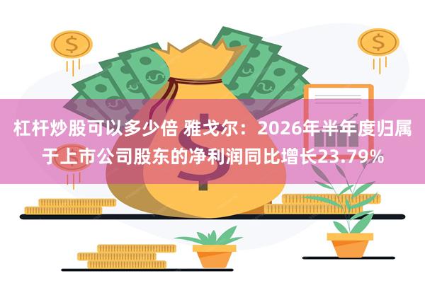 杠杆炒股可以多少倍 雅戈尔:2026年半年度归属于上市公司股东的净利润同比增长23.79%