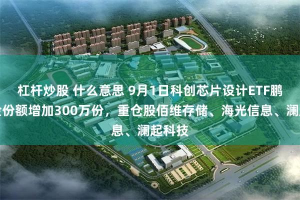 杠杆炒股 什么意思 9月1日科创芯片设计ETF鹏华基金份额增加300万份，重仓股佰维存储、海光信息、澜起科技
