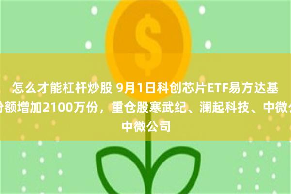 怎么才能杠杆炒股 9月1日科创芯片ETF易方达基金份额增加2100万份，重仓股寒武纪、澜起科技、中微公司
