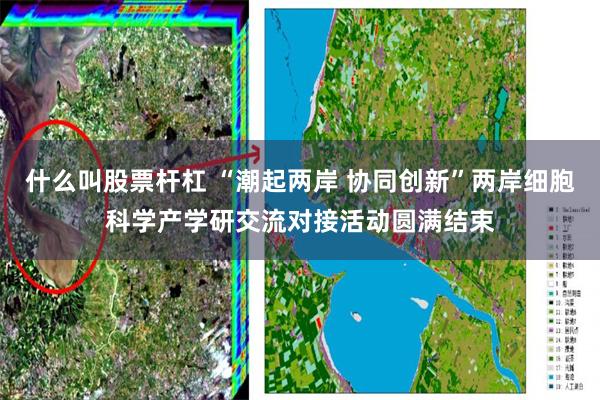 什么叫股票杆杠 “潮起两岸 协同创新”两岸细胞科学产学研交流对接活动圆满结束