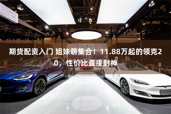 期货配资入门 姐妹萌集合！11.88万起的领克20，性价比直接封神