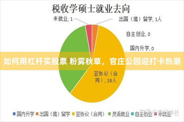 如何用杠杆买股票 粉雾秋草，官庄公园迎打卡热潮
