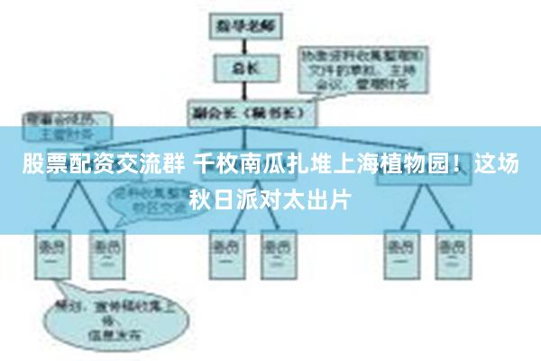股票配资交流群 千枚南瓜扎堆上海植物园！这场秋日派对太出片