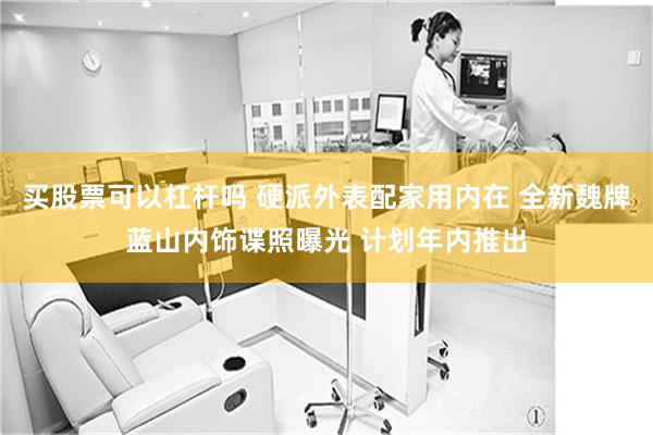 买股票可以杠杆吗 硬派外表配家用内在 全新魏牌蓝山内饰谍照曝光 计划年内推出