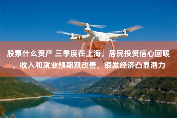 股票什么资产 三季度在上海，居民投资信心回暖，收入和就业预期双改善，银发经济凸显潜力